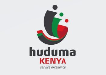 Services offered at Huduma Centres in Kenya