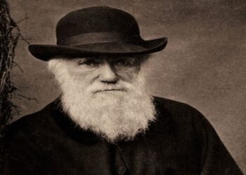Best quotes from Charles Darwin