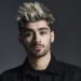 Zayn Malik Net Worth