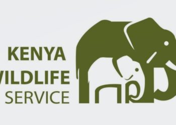 Kenya Wildlife Service (KWS) park fees