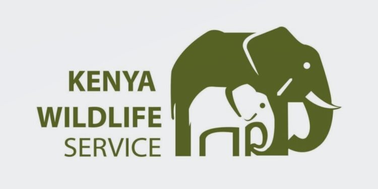 Kenya Wildlife Service (KWS) park fees