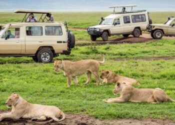 Top 10 safest countries in Africa