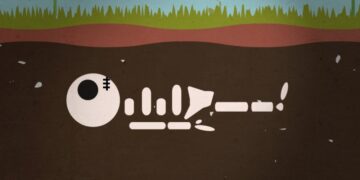 What happens when you die