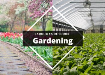 Benefits of indoor gardening over outdoor gardening