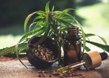 Why hemp oil is good for dogs