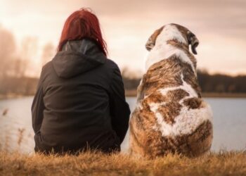 How to take good care of your pet dog