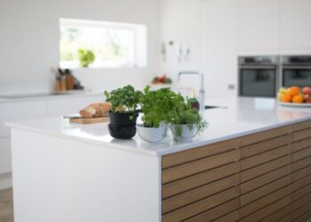 Eco-friendly kitchen decor ideas you should know