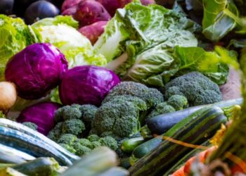 How to boost your immune system