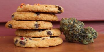 Mistakes to avoid when cooking with cannabis