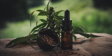 Everything you need to know about CBD