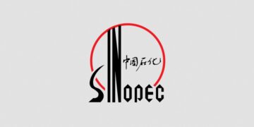 Top 20 largest companies in the world outside the U.S.