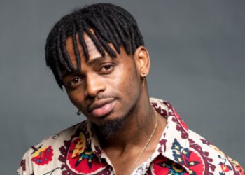 Diamond Platnumz Net Worth