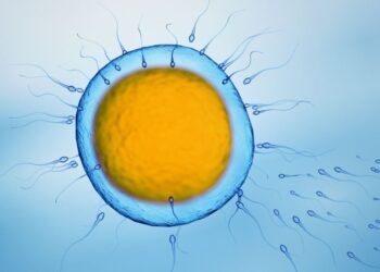 How to conceive a baby boy