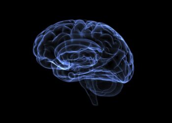 How to increase your IQ