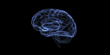 How to increase your IQ