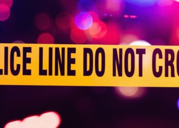 Top 10 countries with the highest murder rates in Africa