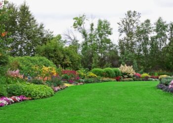 Trending ideas for garden landscaping