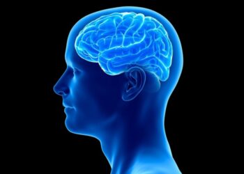 How to maintain your mental health