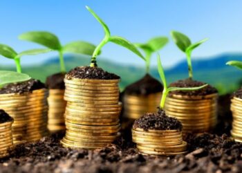 Small profitable farming business ideas to venture into