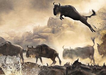 Top 20 natural wonders of the world