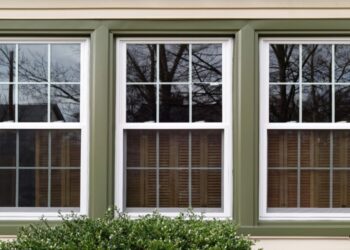 Guide to buying energy efficient windows