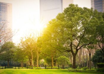 Top 20 greenest cities in the world