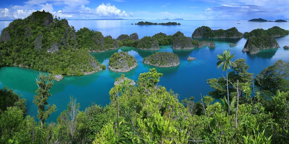 Top 20 highest islands in the world