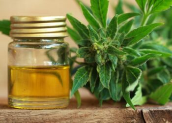 Benefits of CBD for the skin