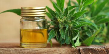 Benefits of CBD for the skin