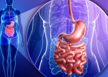 Probiotic foods that boost gut health