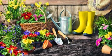 Activities to do in your garden