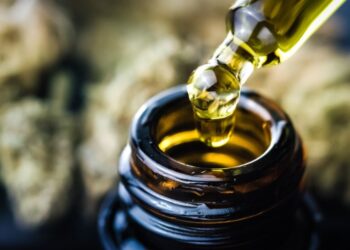 Guide to cooking with CBD oil