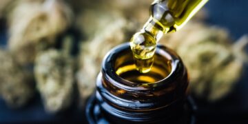 Guide to cooking with CBD oil