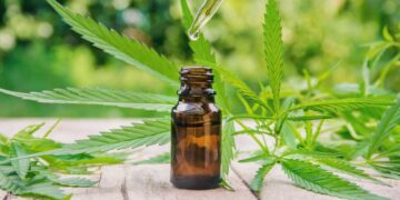 Health benefits of hash oil