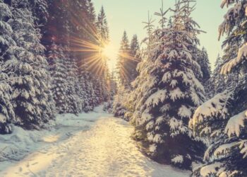 How to beat the winter season