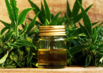 Natural remedies to relieve stress and anxiety