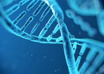 How DNA testing is done