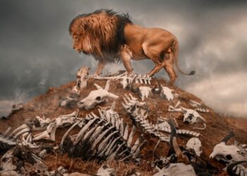 Top 20 most dangerous animals in the world