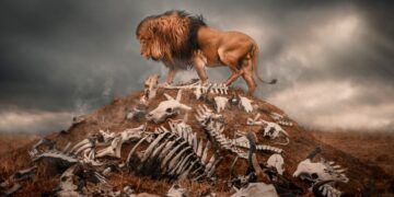 Top 20 most dangerous animals in the world