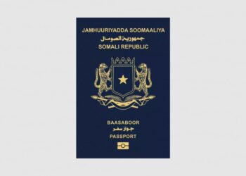 Top 10 weakest passports in Africa