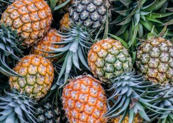 Top 10 most expensive fruits in the world