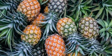 Top 10 most expensive fruits in the world