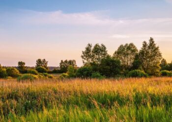 Compulsory land acquisition in Kenya