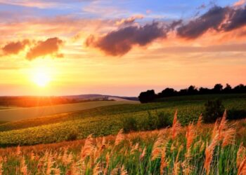 How to amalgamate land in Kenya