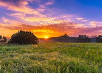 How to subdivide land in Kenya