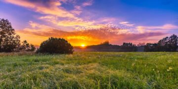 How to subdivide land in Kenya