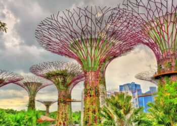 Top 5 best tourist attractions in Singapore