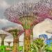 Top 5 best tourist attractions in Singapore
