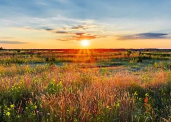 Reasons to buy land as an investment option