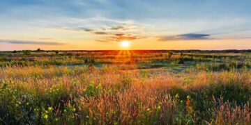 Reasons to buy land as an investment option